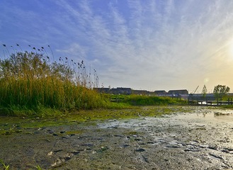 七桥瓮湿地DSC_2228.JPG