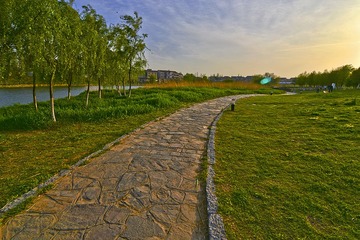 七桥瓮湿地DSC_2238.JPG