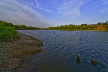 七桥瓮湿地DSC_2239.JPG