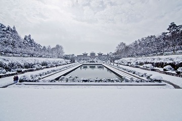 雨花台雪景DSC_1027.jpg