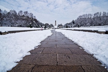 雨花台雪景DSC_1031.jpg