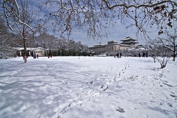 雨花台雪景DSC_1039.jpg