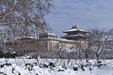 雨花台雪景DSC_1041.jpg