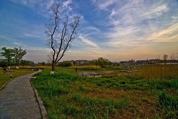 七桥瓮2DSC_2260.jpg