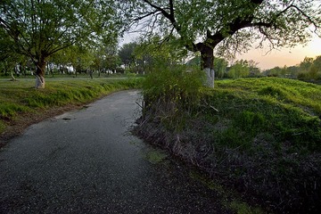 4七桥瓮湿地DSC_2250.jpg