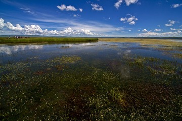 花湖DSC_4232.jpg