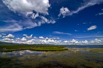 花湖DSC_4238.jpg