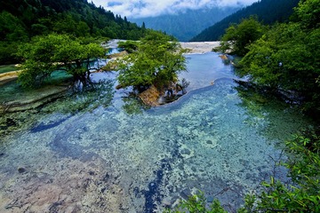 黄龙DSC_4378.jpg