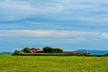 红原DSC_0155.JPG