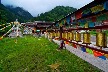 九寨DSC_4490.jpg