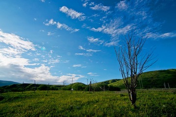 红原大草原DSC_4035.jpg