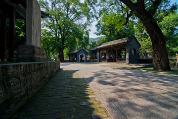 晋祠DSC_4801.jpg