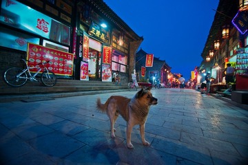 平遥DSC_5231