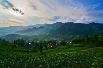 湖北巴东DSC_4767