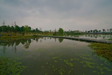 南京板桥莲花湖DSC_5680-
