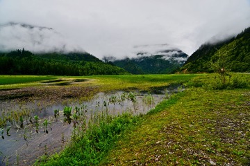 九寨甘海子DSC_4550