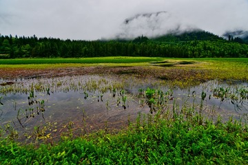 九寨甘海子DSC_4551
