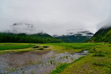 九寨甘海子DSC_4553