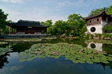 5西溪湿地DSC_2499