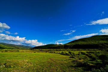 4红原大草原DSC_4036