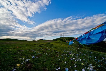 4红原大草原DSC_4051