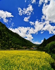 米亚罗DSC_4013