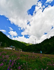 米亚罗DSC_4019