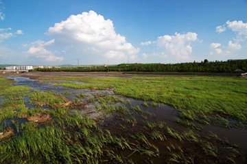 3云冈石窟景区杂片DSC_5136