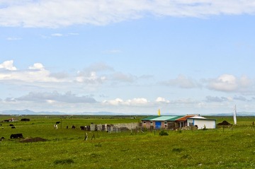5红原大草原DSC_0157