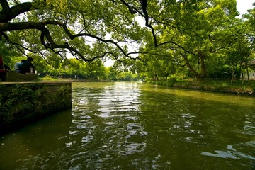 6西溪湿地DSC_2396