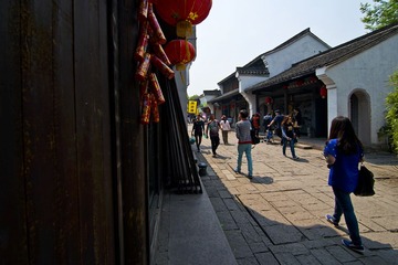 6西溪湿地DSC_2433