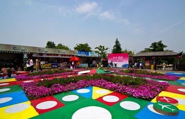 6西溪湿地DSC_2437