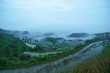 茗岙梯田DSC_0028