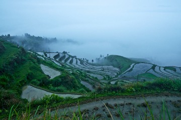 茗岙梯田DSC_0030