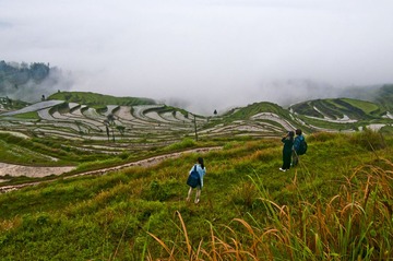 茗岙梯田DSC_0046