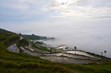 茗岙梯田DSC_0076