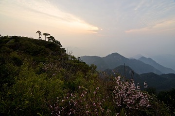 3三清山DSC_8014