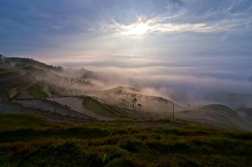 2014温州永嘉茗岙梯田DSC_0061