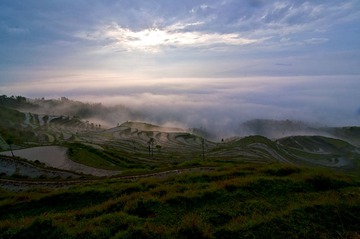 2014温州永嘉茗岙梯田DSC_0063