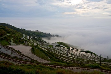 2014温州永嘉茗岙梯田DSC_0073