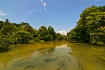 贵阳花溪公园DSC_0248