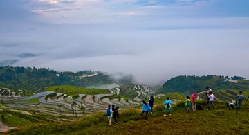 温州永嘉茗岙梯田DSC_0041
