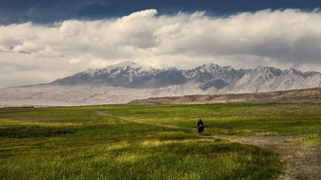“IMG_9806”为智能对象-1