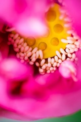 IMG_4075-1_调整大小