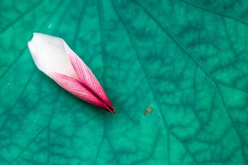 IMG_4100-2_调整大小