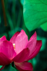 IMG_4135-4_调整大小