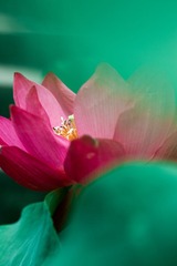 IMG_4136-5_调整大小