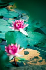 IMG_4201-10_调整大小