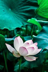 IMG_4237-11_调整大小