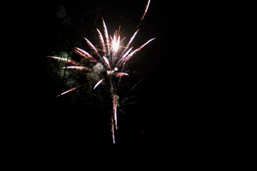 2020IMGP3219